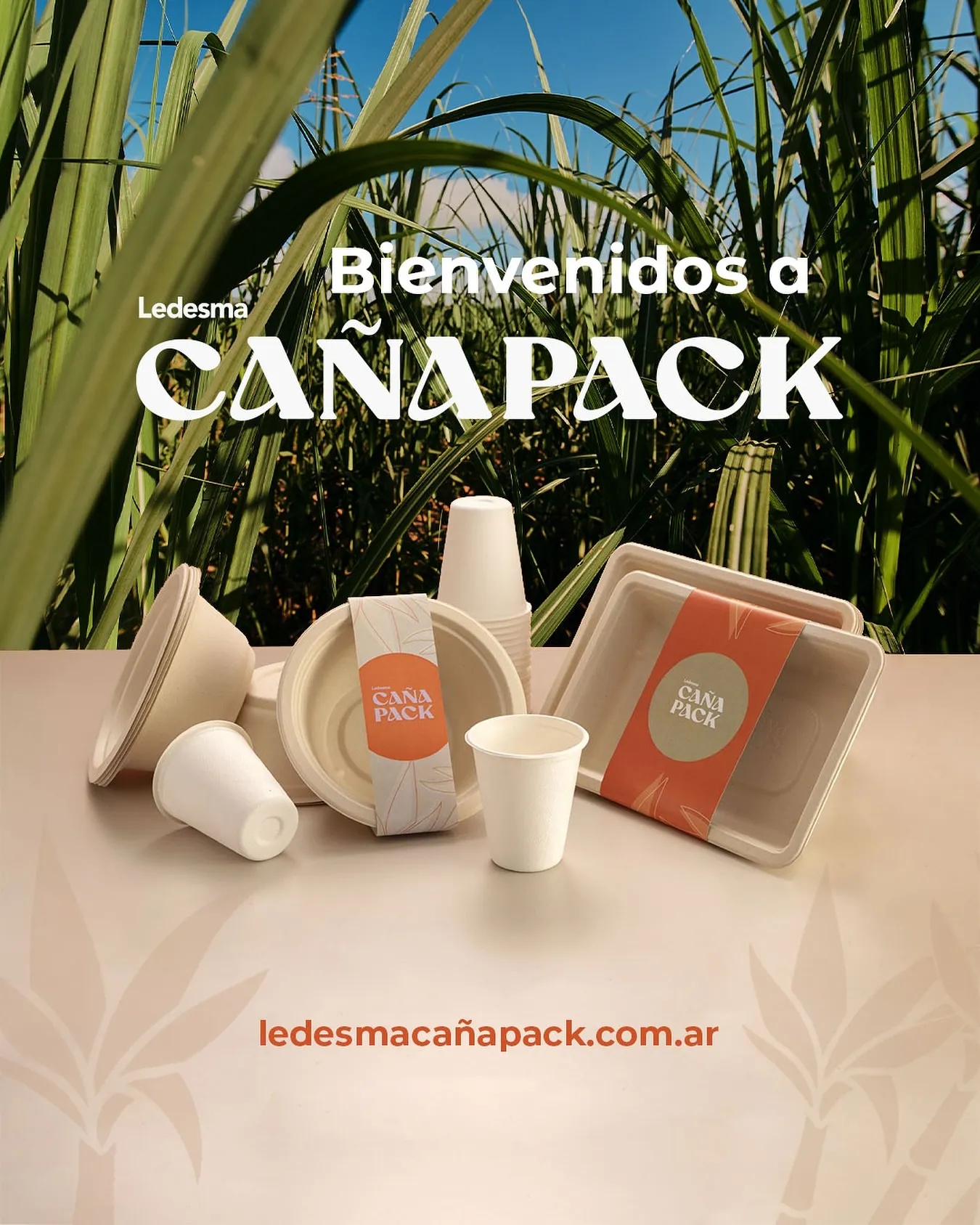 Envases biodegradables
